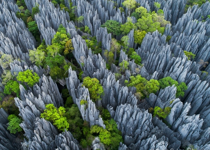 Madagascar - Tsingy de Bemaraha