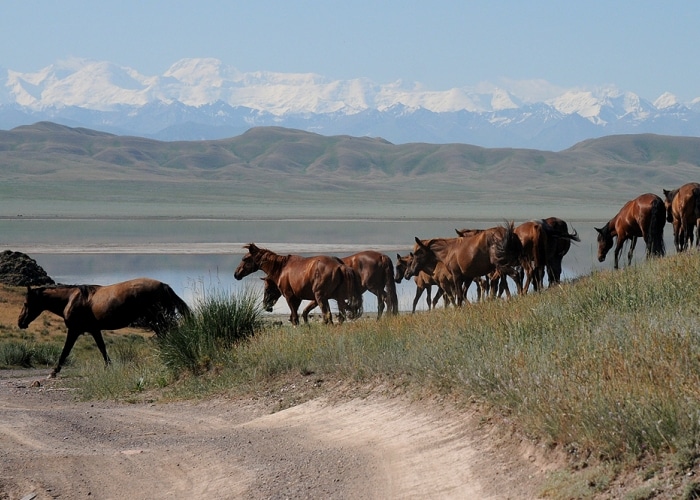 Kazakhstan - Tuzkol Lake