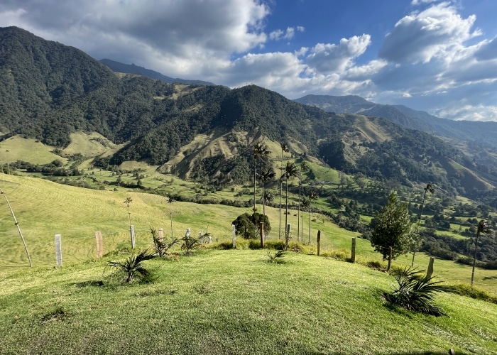 Colombie - Vallée de Cocora