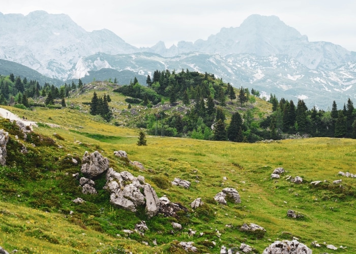 Slovénie - Velika Planina