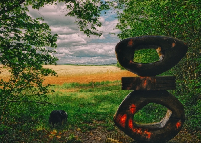 Grand Est - Vent des forêts