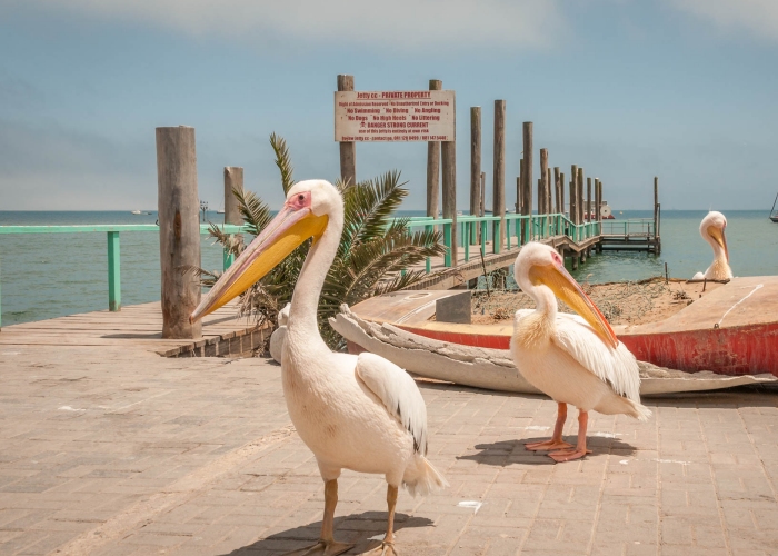 nAMIBIE - Walvis Bay