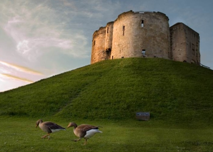 Angleterre - York
