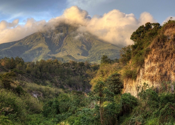Martinique - Montagne Pelée