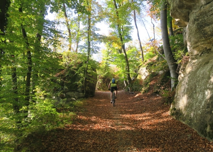 Luxembourg - Mullerthal Trail