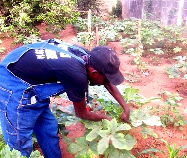 Saly Sénégal Jardins