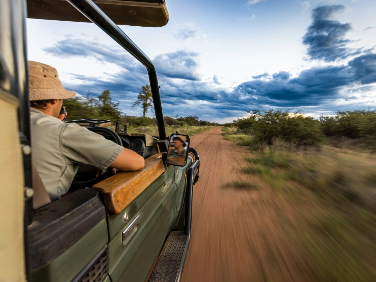 Organiser un Safari en Afrique du Sud