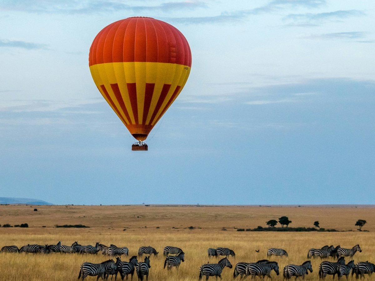 Safari en Montgolfière