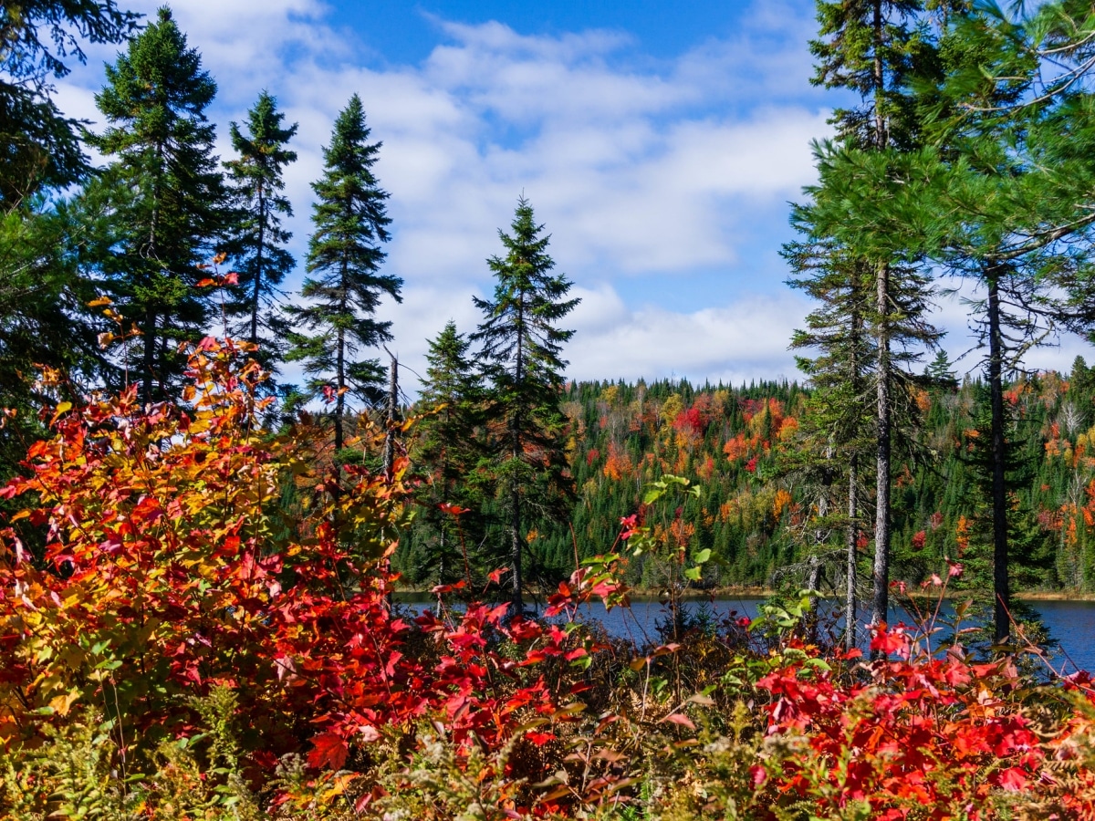 Montréal - Parc de la Mauricie