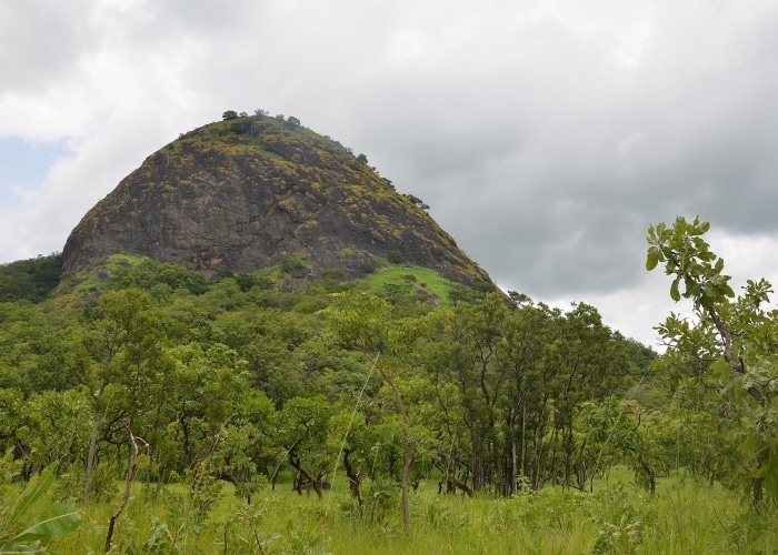 Togo - montagne Fazao