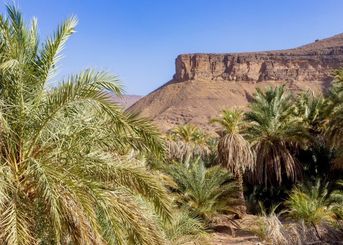 Mauritanie - Terjit