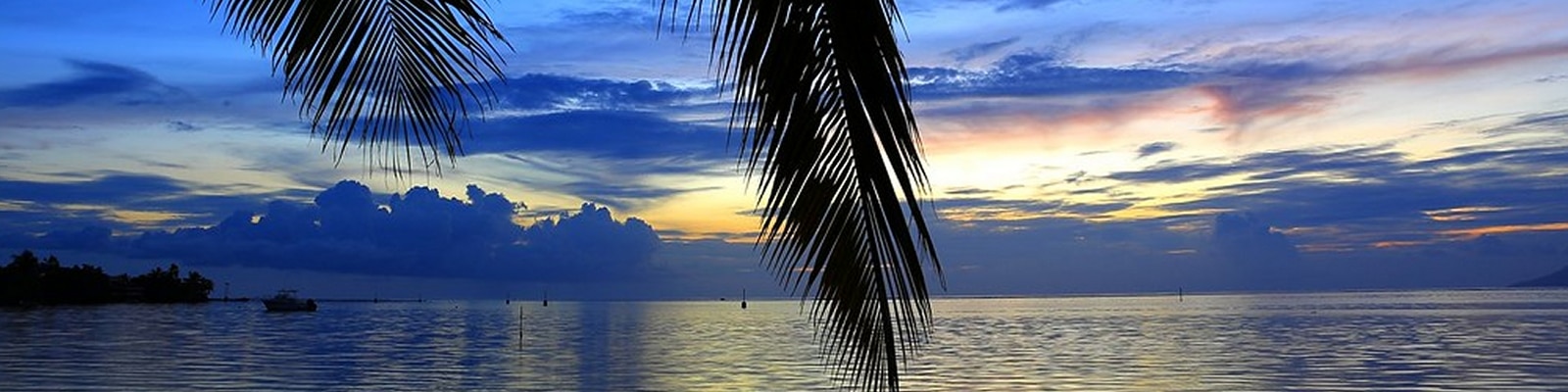 Polynesia