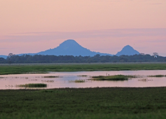 Mozambique - Parc de Gorongosa