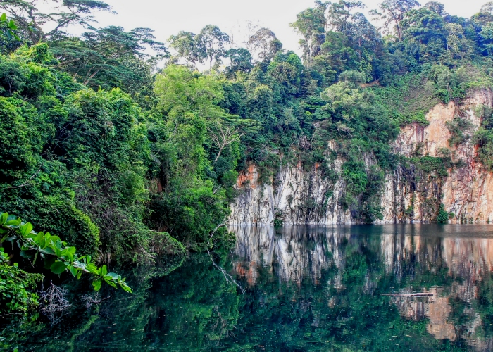 Bukit Timah Reserve in Singapor Bukit Timah Reserve in Singapor